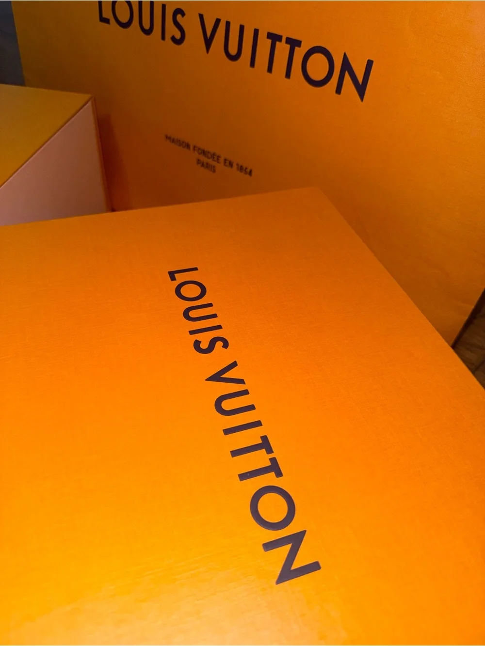 Louis Vuitton Shoe Boxes